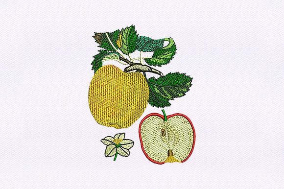 Apple and Half Apple Embroidery Review
