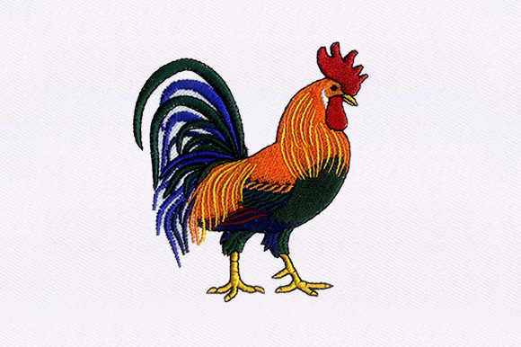 Brahma Chicken Embroidery Review