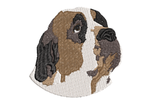 Realistic Saint Bernard Embroidery Review